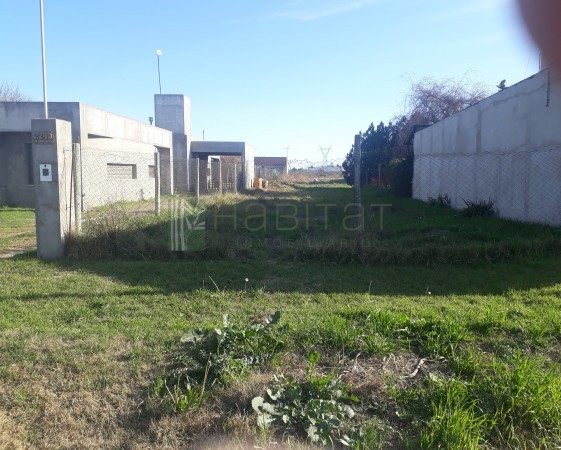  TERRENO EN VENTA 980 M2 VILLA CONSTITUCION VENDIDO