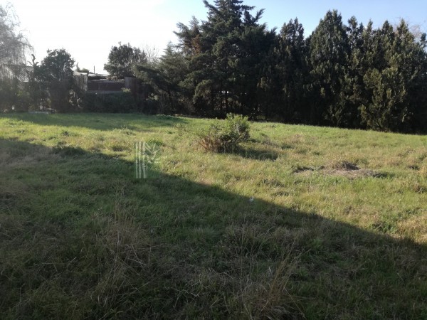  TERRENO EN VENTA 980 M2 VILLA CONSTITUCION VENDIDO